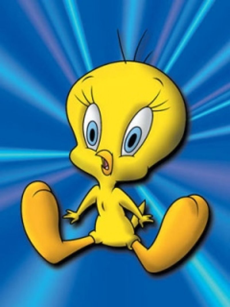 240x320_wallpapers_telefon__poza_240x320__tweety_telefon